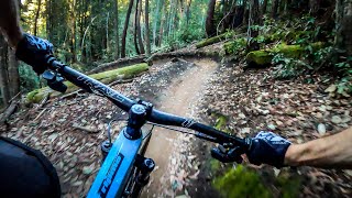 The BEST mountain bike ride in Northern California  The Flow Trail  Soquel Demo Forest [upl. by Hirza]