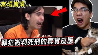 四個重刑犯被判X刑的真實反應 被宣判的瞬間當場崩潰痛哭『早知如此，何必當初』【希露弟弟啃雞腿】 [upl. by Huntlee]