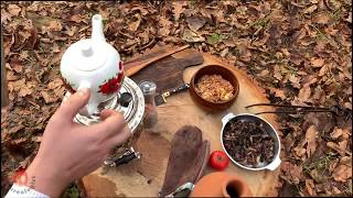 Preparing Organic Samovar Tea in Nature [upl. by Ahseuqram]