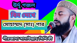 বিন দেখে মোহাম্মদ সাঃ পার  Urdu ghazal 2024  Pirzada Sanaullah siddique Huzur  New Gojol [upl. by Nnyla]