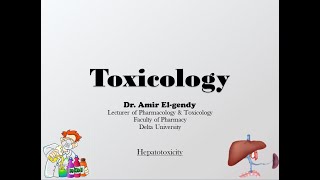 Hepatotoxicity [upl. by Meehar]