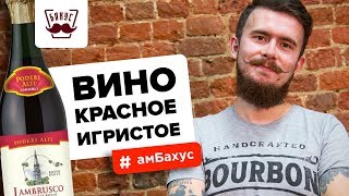 Всё что нужно знать о красном игристом вине [upl. by Anej833]