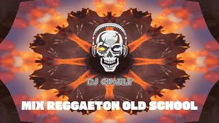 MIX REGGAETON OLD SCHOOL 30  LOS MEJORES CLASICOS DEL REGGAETON 🍑 DJ CHARLY 🔥💧 [upl. by Neelac617]