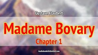 Madame Bovary Audiobook Chapter 1 with subtitles [upl. by Millian380]