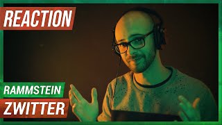 HIP HOP HEAD REACT TO RAMMSTEIN  ZWITTER REACTION [upl. by Anomas907]