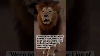 Yeshua Hamashiach  Nathaniel Bassey lionofjudah lion worship power Jesus victory [upl. by Fugate298]