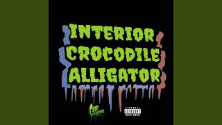 Interior Crocodile Alligator [upl. by Ilam]