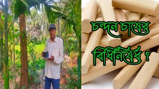 চন্দন চাষের খুটিনাটি পর্ব ১ Sandalwood Farming part1 [upl. by Letreece]