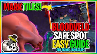 OSRS  How To Safe Spot Bloodvelds In The Catacombs Of Kourend   EVERYTHING YOU NEED TO KNOW [upl. by Adnamar32]