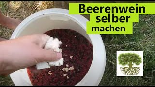 Wein aus Beeren und Obst herstellen  Wein selber machen [upl. by Ttemme]