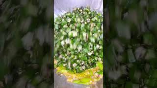 Bhendi bhaji bhendirecipe fy bhindibhindirecipe bhendi lunch food bhindi kisabji recipe veg [upl. by Onateag736]