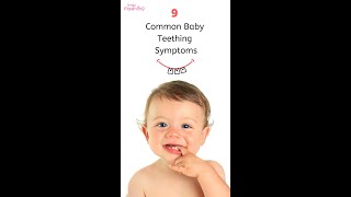 9 Common Baby Teething Signs amp Symptoms  Baby Teething Symptoms  Baby Teething Signs [upl. by Chladek]