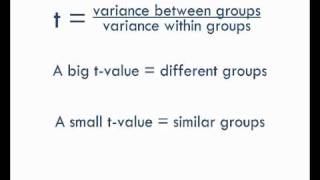 StatsCast What is a ttest [upl. by Icart]