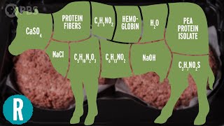 Labgrown Plantbased Real – What Is The Chemistry Of Meat [upl. by Gagliano]