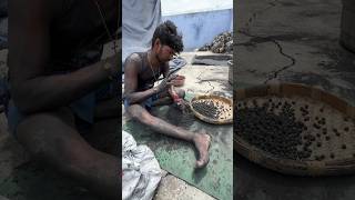 Sparkling Electric stones Crackers 🎇 diwali diwalicrackers sivakasi festival fireworks [upl. by Atteval894]