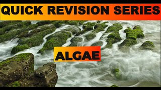 Algae  Quick revision video  Plant kingdom Class 11 NCERT Biology  NEET 2025 [upl. by Roht]