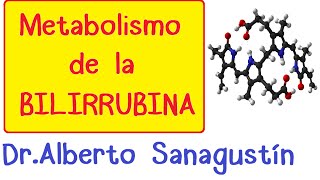 METABOLISMO DE LA BILIRRUBINA Fisiología [upl. by Dambro]