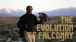 The Evolution of Falconry [upl. by Rowley]