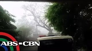 TV Patrol Daluyong tumama sa Sorsogon [upl. by Devland695]