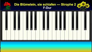 KARAOKE  ZUM MITSINGEN 23 Die Blümelein sie schlafen [upl. by Ymerrej61]