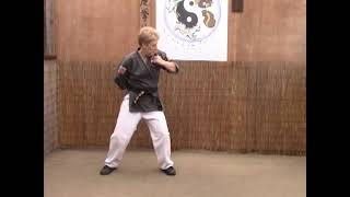 Tracy Kenpo Karate Reverse Hammerlock AB [upl. by Yrrem]