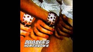 BUGSEED  LOOSE ENDS [upl. by Etnauq]