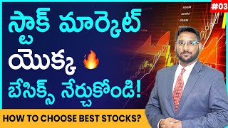 Stock Market For Beginners In Telugu  Stock Market Series EP 03  How To Choose Best Stocks [upl. by Jae782]