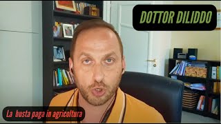 Il sostituto di imposta agricoltura [upl. by Martita611]