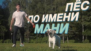 Пес по имени Мани Бодо Шефер  детская книга о деньгах [upl. by Fleeman]