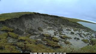 Wolverine Lake Thawing Permafrost  August 2016 [upl. by Luane]