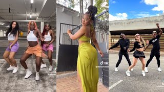 Amapiano 2024 🇿🇦 Dance Challenges  TIKTOK COMPILATION 🔥🥵 [upl. by Nettle]