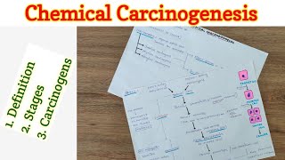 Chemical Carcinogenesis  Carcinogenesis  Neoplasia [upl. by Ioyal]