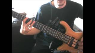 Disturbed  Who Taught You How To Hate bass Cover [upl. by Kobi279]