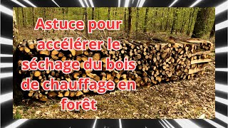 Vente et livraison de bois de chauffage dans lEure  LTL [upl. by Pierette913]