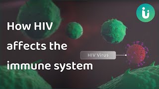 HIV and AIDS How HIV affects the immune system and causes AIDS A 3D Medical Animation [upl. by Ujawernalo]