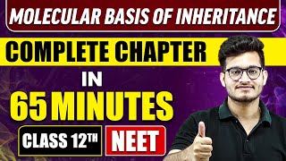 MOLECULAR BASIS OF INHERITANCE in 65 Minutes  Full Chapter Revision  Class 12th NEET [upl. by Bank304]