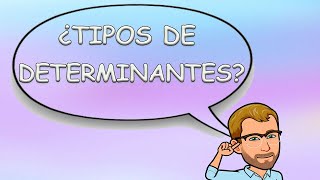 TIPOS de DETERMINANTES para niños de PRIMARIA  Castellano Primaria [upl. by Mayhew]