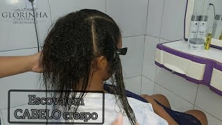 COMO FAZER UMA ESCOVA EM CABELO CRESPO  LISO PERFEITO SEM QUÍMICA [upl. by Waring]