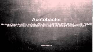 Medical vocabulary What does Acetobacter mean [upl. by Rutledge]