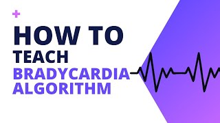 How to Teach Bradycardia Algorithm for ACLS [upl. by Dosia394]