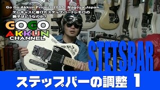 テレキャスターにステップバーを着けて約2週間  1 ★STETSBAR [upl. by Meriel573]