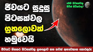 පෘථිවිය වැනි තවත් ග්‍රහලොවක් හමුවෙයි  Gliese 12 b Exoplanet [upl. by Aetnahc]