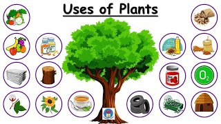 Uses of Plants for kids  Use of Plants  Plants and their uses  Plant give us  Uses of trees [upl. by Kahl]