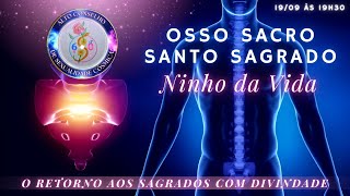 OSSO SACRO SANTO SAGRADO NINHO DA VIDA [upl. by Polad]