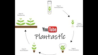 Plant Tissue Culture  Acclimatization [upl. by Leahey]