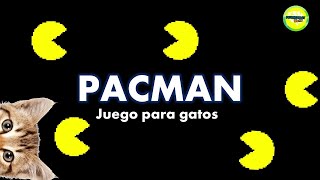 Videos para gatos  pacman [upl. by Haleemak]