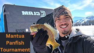 Panfish Ice Fishing Tournament Mantua Reservoir Utah utahicefishing [upl. by Eram]