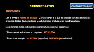 Carbohidratos Características y Clasificación [upl. by Honan592]