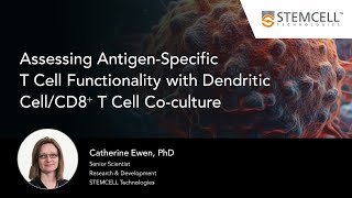 Assessing AntigenSpecific TCell Functionality with Dendritic CellCD8⁺ T Cell Coculture [upl. by Nhar]