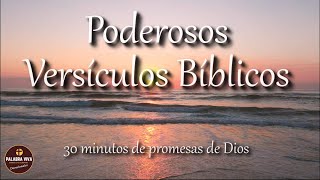 Versículos Bíblicos de paz ánimo y esperanza  Biblia en audio  Salmos 91 23 121 y más [upl. by Naylor]